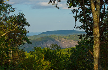 Custom-Build Homesites