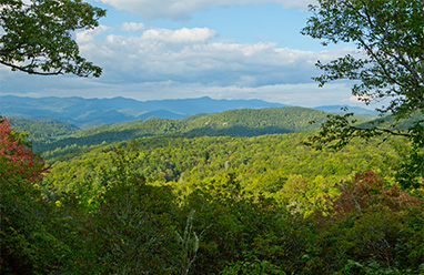 Custom-Build Homesites