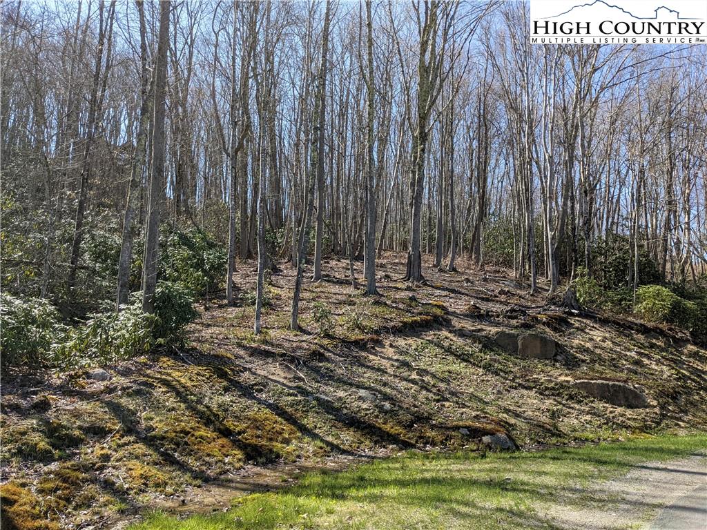 Banner Elk Real Estate at Eagles Nest