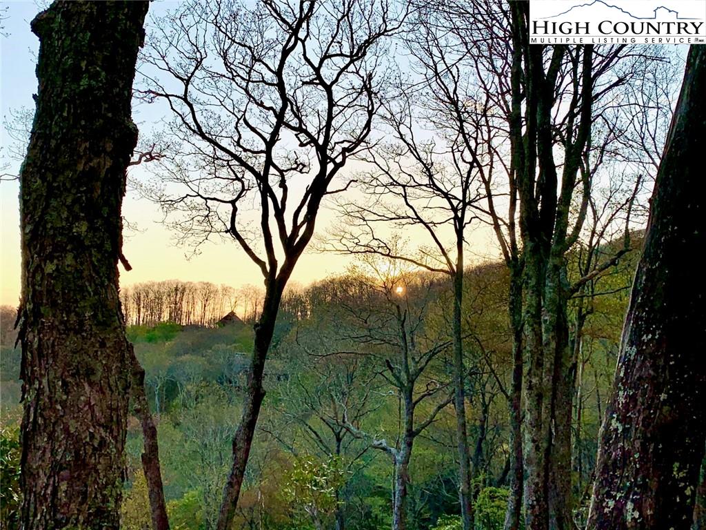 Banner Elk Real Estate at Eagles Nest