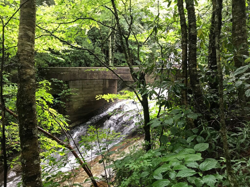 Laurel Creek Falls