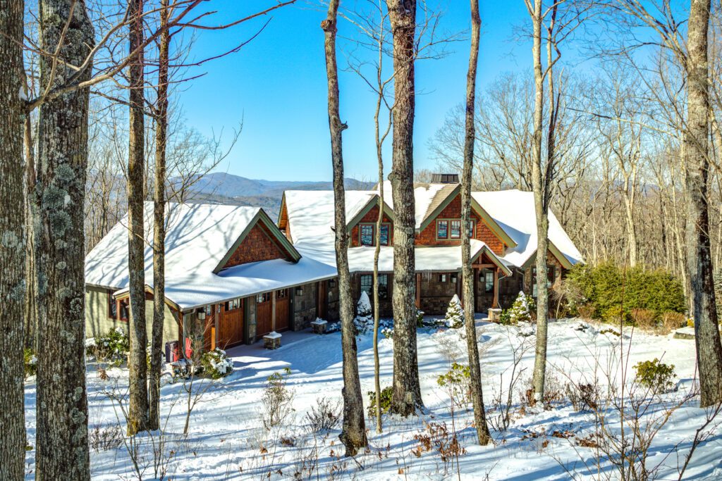 snowy eagles nest home